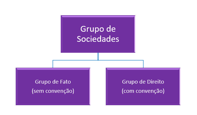 grupo de sociedades