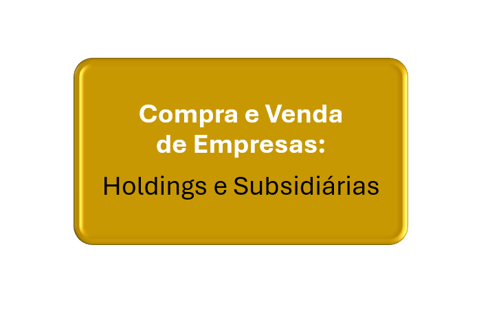 compra e venda de empresas: holding e subsidiária