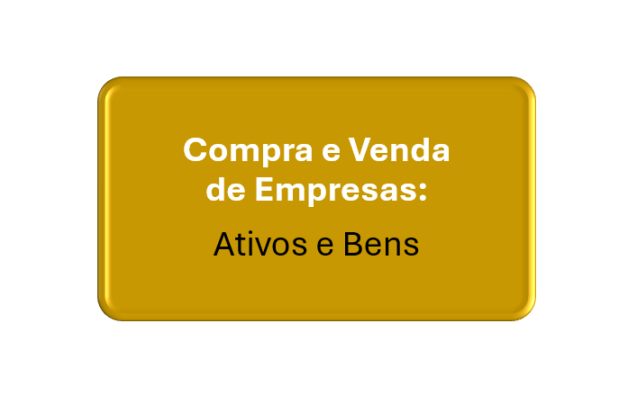 compra e venda de empresas: ativos e bens